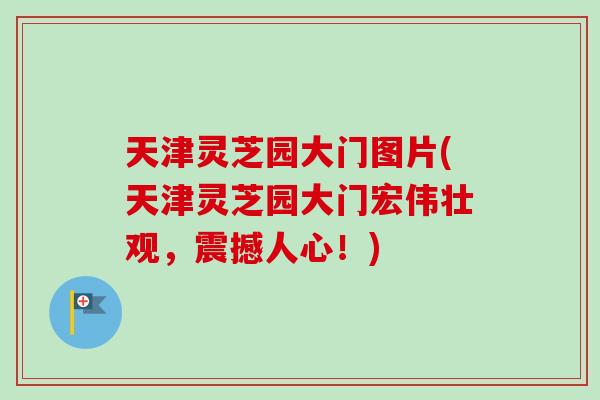 天津灵芝园大门图片(天津灵芝园大门宏伟壮观，震撼人心！)