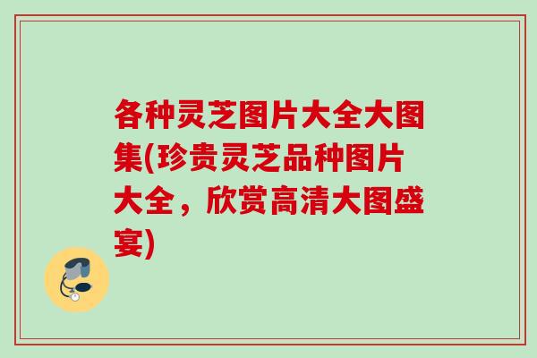 各种灵芝图片大全大图集(珍贵灵芝品种图片大全，欣赏高清大图盛宴)