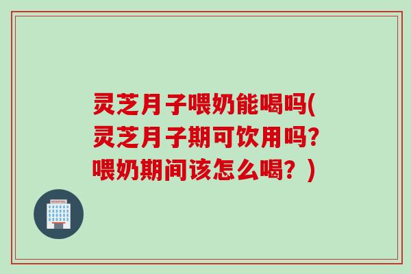 灵芝月子喂奶能喝吗(灵芝月子期可饮用吗？喂奶期间该怎么喝？)