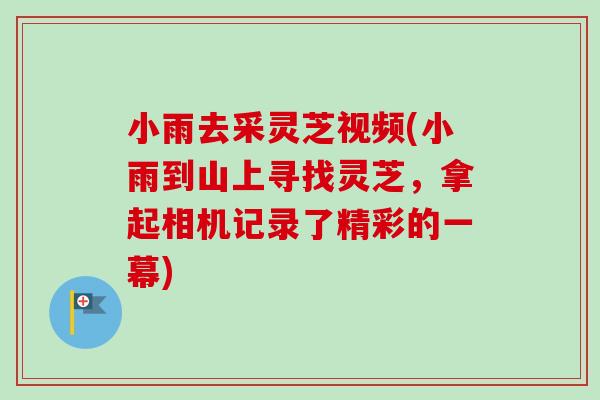 小雨去采灵芝视频(小雨到山上寻找灵芝，拿起相机记录了精彩的一幕)