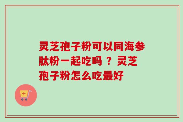 灵芝孢子粉可以同海参肽粉一起吃吗 ？灵芝孢子粉怎么吃最好