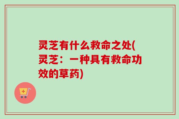 灵芝有什么救命之处(灵芝：一种具有救命功效的草药)