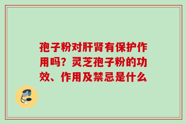 孢子粉对肝肾有保护作用吗？灵芝孢子粉的功效、作用及禁忌是什么
