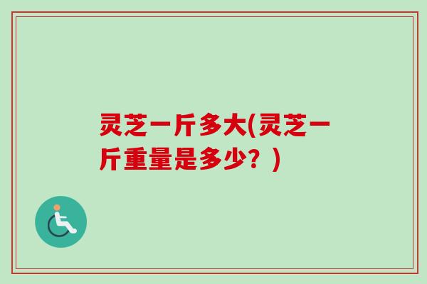 灵芝一斤多大(灵芝一斤重量是多少？)