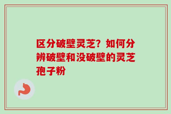 区分破壁灵芝？如何分辨破壁和没破壁的灵芝孢子粉