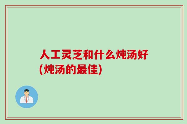 人工灵芝和什么炖汤好(炖汤的最佳)