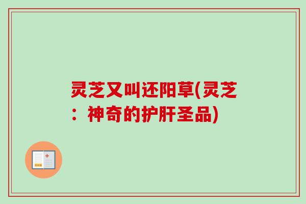 灵芝又叫还阳草(灵芝：神奇的护肝圣品)
