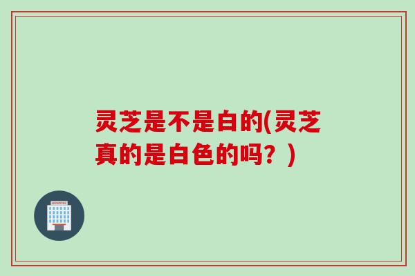 灵芝是不是白的(灵芝真的是白色的吗？)