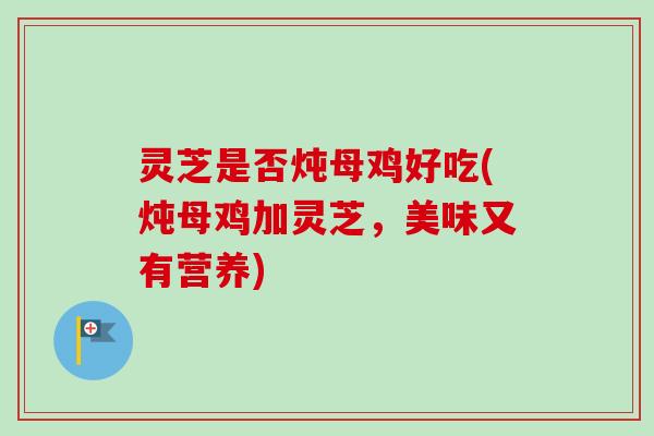 灵芝是否炖母鸡好吃(炖母鸡加灵芝，美味又有营养)