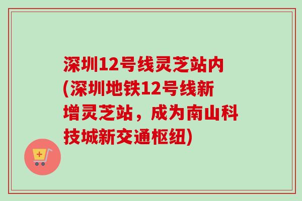 深圳12号线灵芝站内(深圳地铁12号线新增灵芝站，成为南山科技城新交通枢纽)