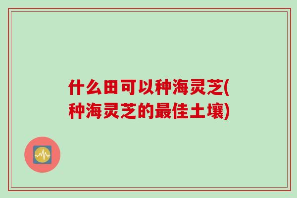 什么田可以种海灵芝(种海灵芝的最佳土壤)