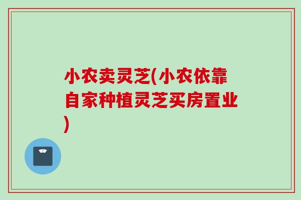 小农卖灵芝(小农依靠自家种植灵芝买房置业)