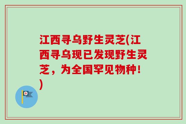 江西寻乌野生灵芝(江西寻乌现已发现野生灵芝，为全国罕见物种！)