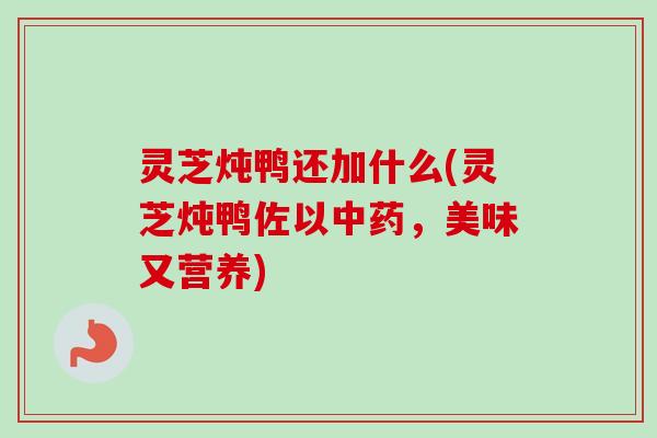 灵芝炖鸭还加什么(灵芝炖鸭佐以，美味又营养)