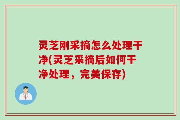 灵芝刚采摘怎么处理干净(灵芝采摘后如何干净处理，完美保存)