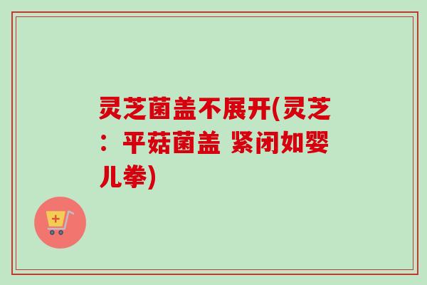 灵芝菌盖不展开(灵芝：平菇菌盖 紧闭如婴儿拳)