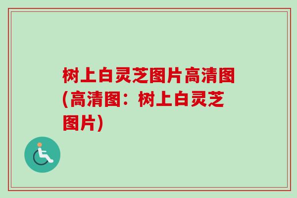 树上白灵芝图片高清图(高清图：树上白灵芝图片)