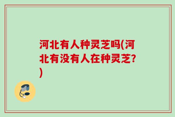 河北有人种灵芝吗(河北有没有人在种灵芝？)