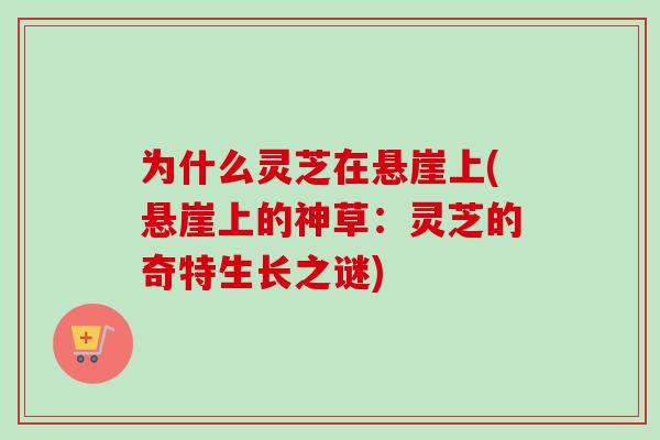 为什么灵芝在悬崖上(悬崖上的神草:灵芝的奇特生长之谜) 为什么灵芝在悬崖上(悬崖上的神草:灵芝的奇特生长之谜)