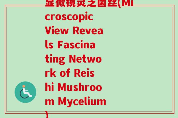 显微镜灵芝菌丝(Microscopic View Reveals Fascinating Network of Reishi Mushroom Mycelium)