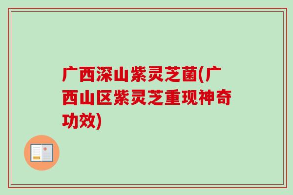 广西深山紫灵芝菌(广西山区紫灵芝重现神奇功效)