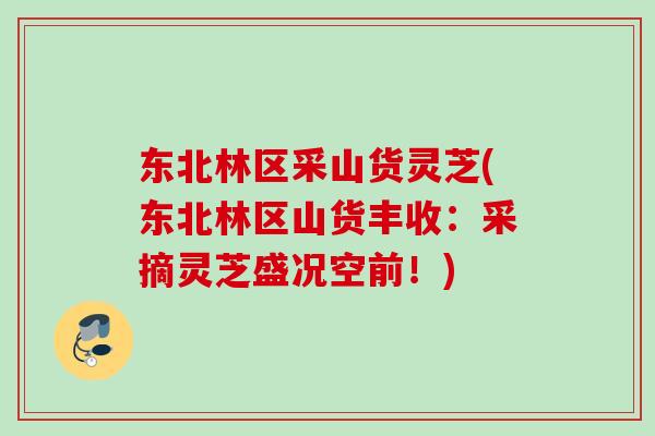 东北林区采山货灵芝(东北林区山货丰收：采摘灵芝盛况空前！)