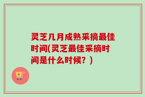 灵芝几月成熟采摘最佳时间(灵芝最佳采摘时间是什么时候？)