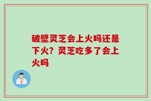 破壁灵芝会上火吗还是下火？灵芝吃多了会上火吗
