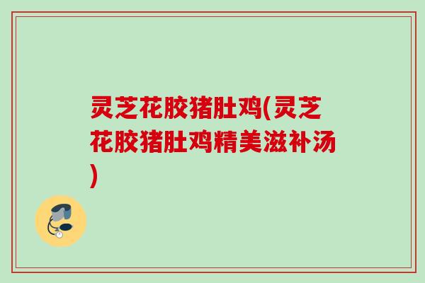 灵芝花胶猪肚鸡(灵芝花胶猪肚鸡精美滋补汤)