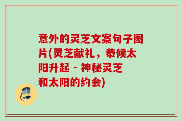 意外的灵芝文案句子图片(灵芝献礼，恭候太阳升起 - 神秘灵芝和太阳的约会)