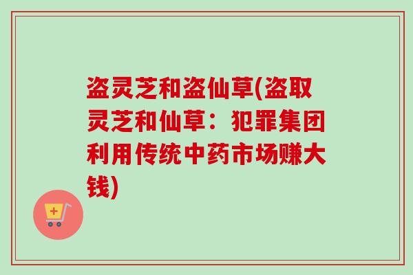 盗灵芝和盗仙草(盗取灵芝和仙草：犯罪集团利用传统中药市场赚大钱)