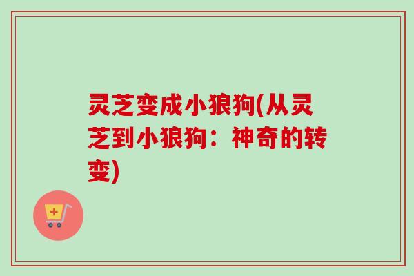 灵芝变成小狼狗(从灵芝到小狼狗：神奇的转变)