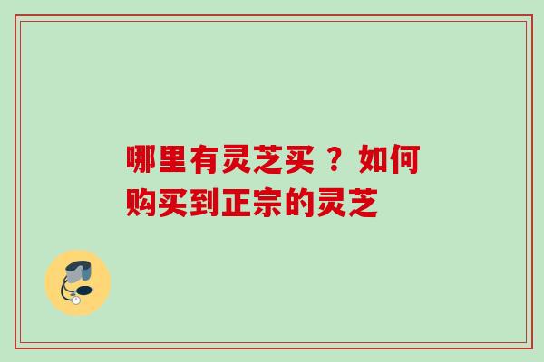 哪里有灵芝买 ？如何购买到正宗的灵芝