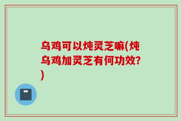 乌鸡可以炖灵芝嘛(炖乌鸡加灵芝有何功效？)