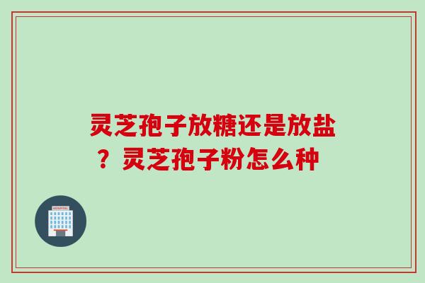 灵芝孢子放糖还是放盐 ？灵芝孢子粉怎么种