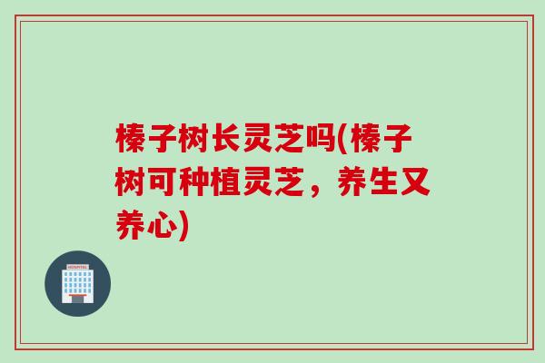 榛子树长灵芝吗(榛子树可种植灵芝，养生又养心)