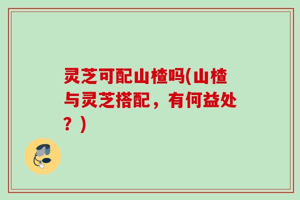 灵芝可配山楂吗(山楂与灵芝搭配，有何益处？)
