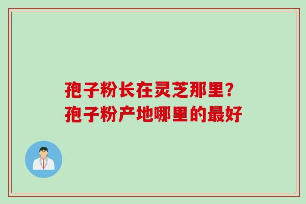 孢子粉长在灵芝那里？孢子粉产地哪里的最好