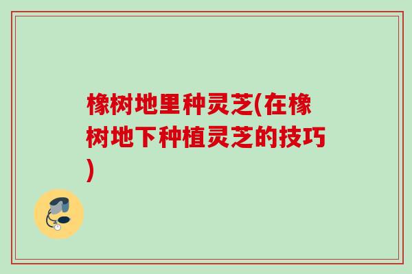 橡树地里种灵芝(在橡树地下种植灵芝的技巧)