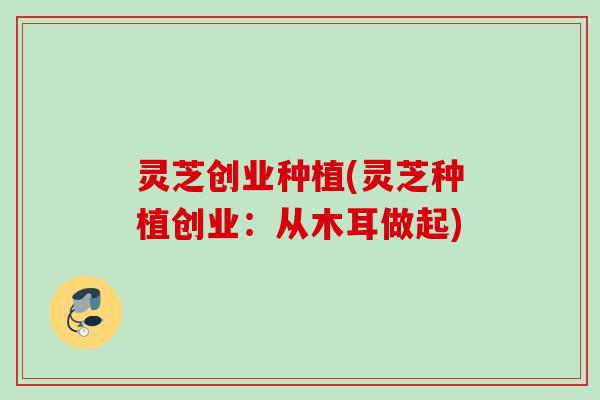 灵芝创业种植(灵芝种植创业:从木耳做起) 灵芝创业种植(灵芝种植创业:从木耳做起)