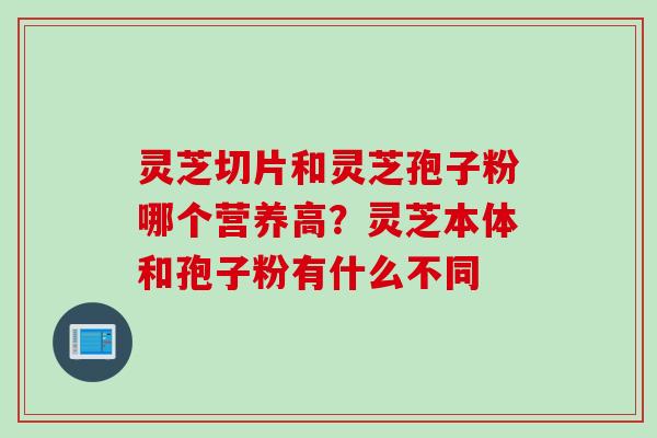 灵芝切片和灵芝孢子粉哪个营养高？灵芝本体和孢子粉有什么不同