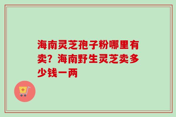 海南灵芝孢子粉哪里有卖？海南野生灵芝卖多少钱一两