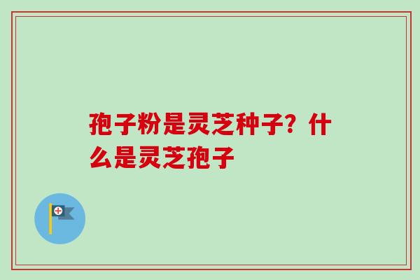 孢子粉是灵芝种子？什么是灵芝孢子