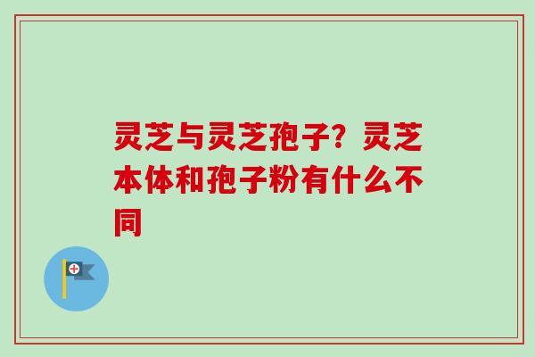 灵芝与灵芝孢子?灵芝本体和孢子粉有什么不同 灵芝与灵芝孢子?灵芝本体和孢子粉有什么不同