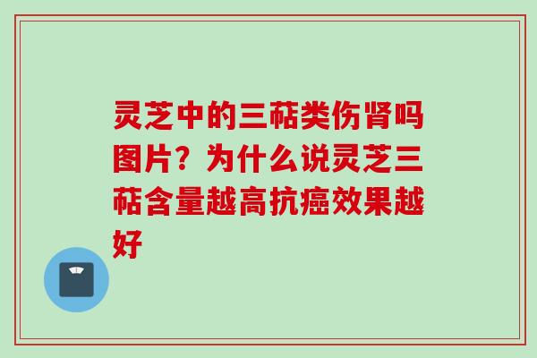 灵芝中的三萜类伤肾吗图片？为什么说灵芝三萜含量越高抗癌效果越好