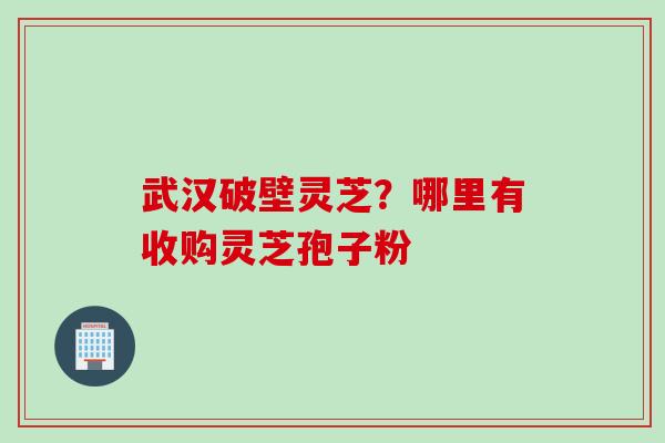 武汉破壁灵芝？哪里有收购灵芝孢子粉