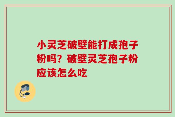 小灵芝破壁能打成孢子粉吗？破壁灵芝孢子粉应该怎么吃