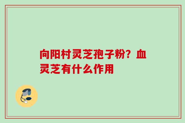 向阳村灵芝孢子粉？血灵芝有什么作用
