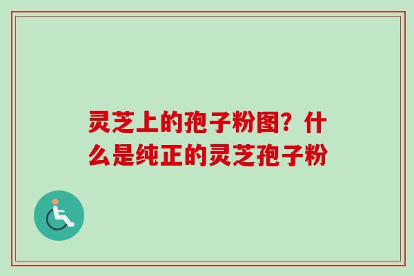 灵芝上的孢子粉图？什么是纯正的灵芝孢子粉