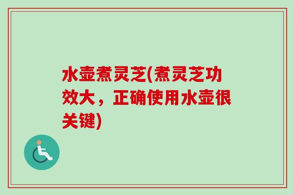水壶煮灵芝(煮灵芝功效大，正确使用水壶很关键)
